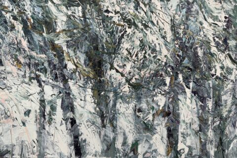 Winters Grace