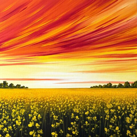 Sunrise Renewal