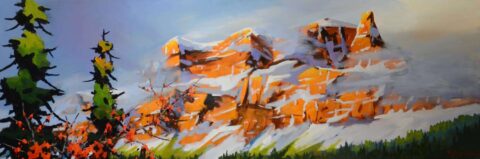 Snowfall at Castle Mt.