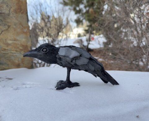 Bran
