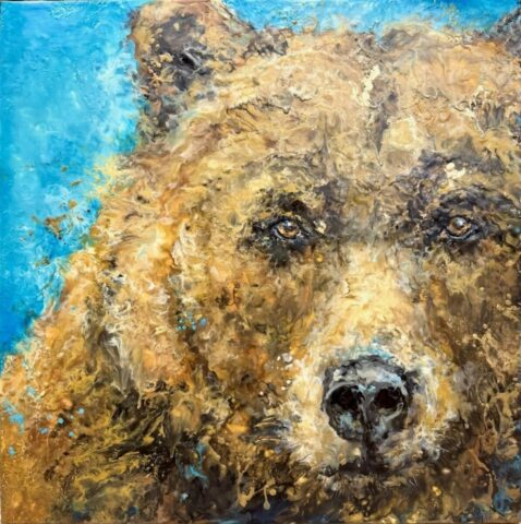 Grizzly Gaze