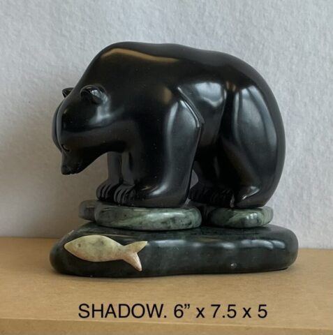 Shadow
