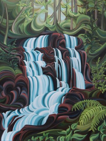 Steelhead Falls