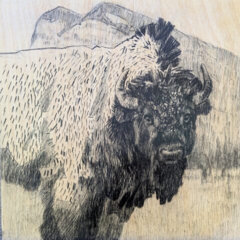 Sleeping Buffalo Mountain