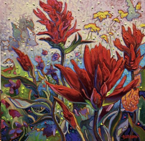 Wild Paintbrush