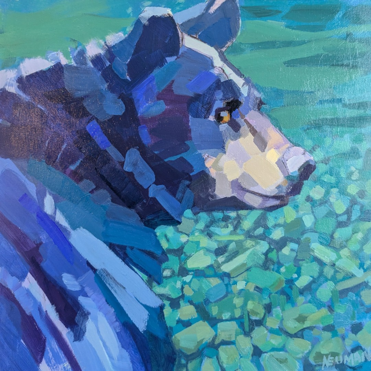 Grassi: Bear in Area