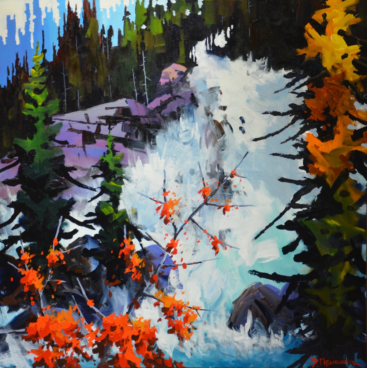 Kananaskis Rapids