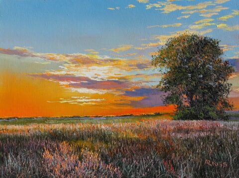 Prairie Evening