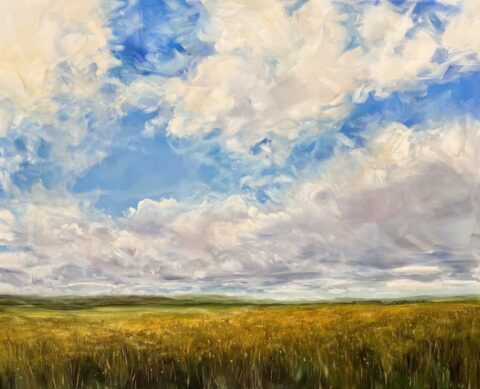 Beneath an Endless Sky
