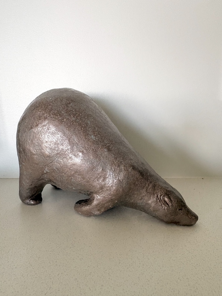 Downward Dog