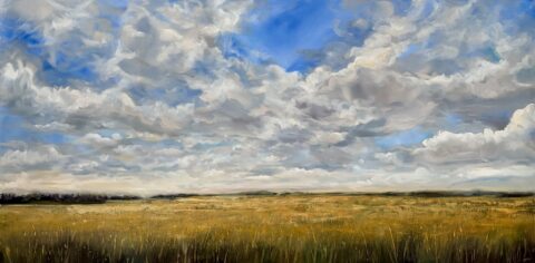 Prairie As Far As the Eye Can See